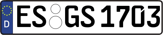 ES-GS1703