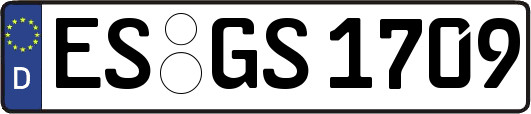 ES-GS1709