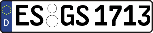 ES-GS1713