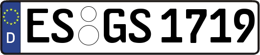 ES-GS1719