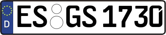 ES-GS1730