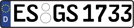 ES-GS1733