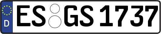 ES-GS1737