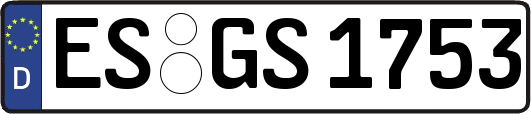 ES-GS1753