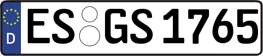 ES-GS1765