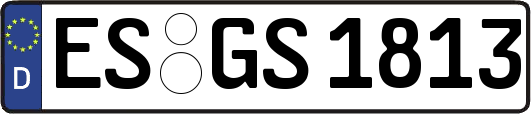 ES-GS1813