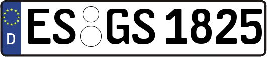 ES-GS1825