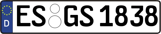 ES-GS1838