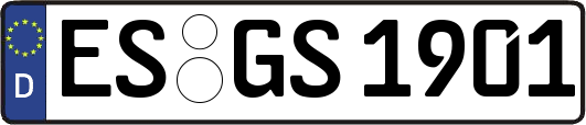 ES-GS1901