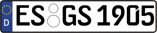 ES-GS1905
