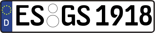ES-GS1918