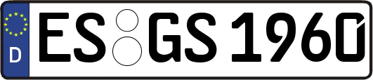 ES-GS1960