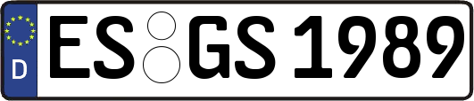ES-GS1989