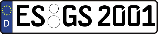 ES-GS2001