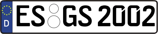 ES-GS2002