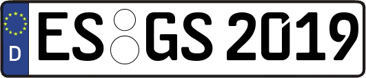 ES-GS2019