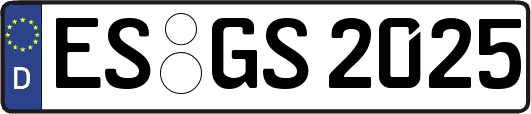 ES-GS2025