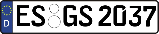 ES-GS2037