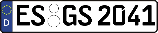 ES-GS2041