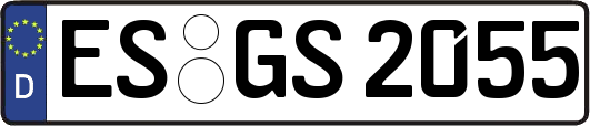 ES-GS2055
