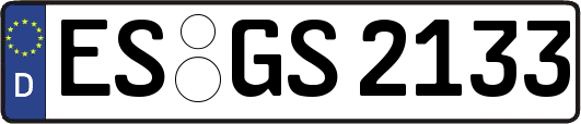 ES-GS2133