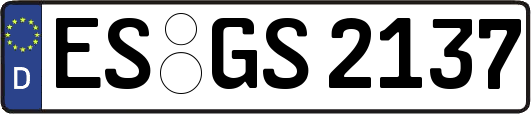 ES-GS2137