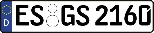 ES-GS2160