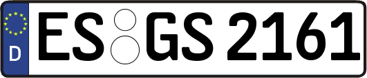 ES-GS2161