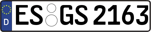 ES-GS2163