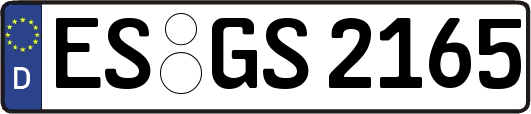 ES-GS2165
