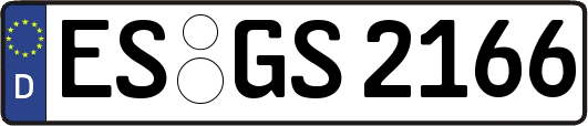 ES-GS2166