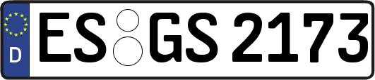 ES-GS2173