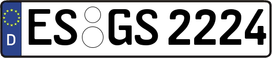 ES-GS2224