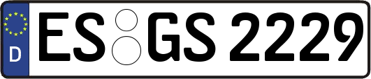 ES-GS2229