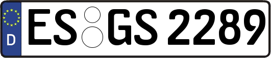 ES-GS2289