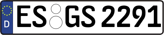 ES-GS2291