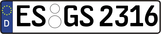 ES-GS2316