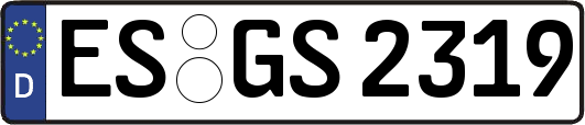 ES-GS2319