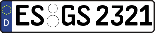 ES-GS2321