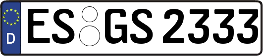 ES-GS2333