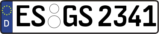 ES-GS2341