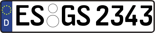 ES-GS2343