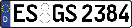 ES-GS2384