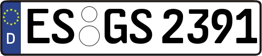 ES-GS2391