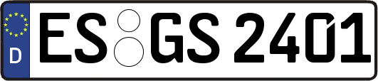 ES-GS2401