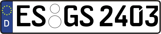ES-GS2403