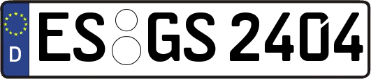 ES-GS2404