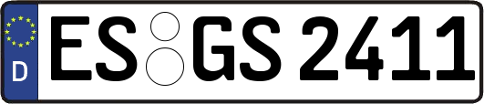 ES-GS2411