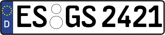ES-GS2421