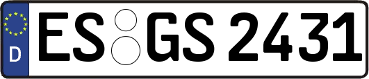 ES-GS2431